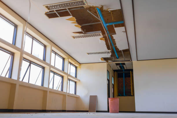 Best Water damage restoration near me  in North Bellmore, NY
