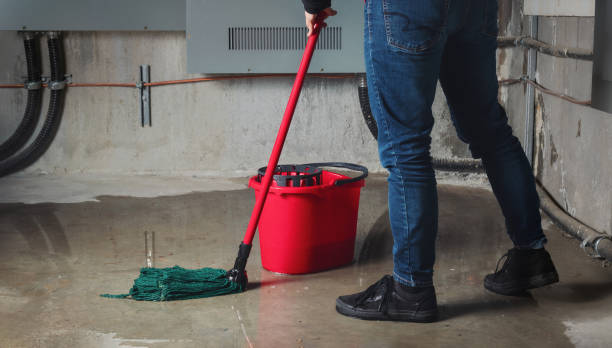 Best Flood damage cleanup  in North Bellmore, NY