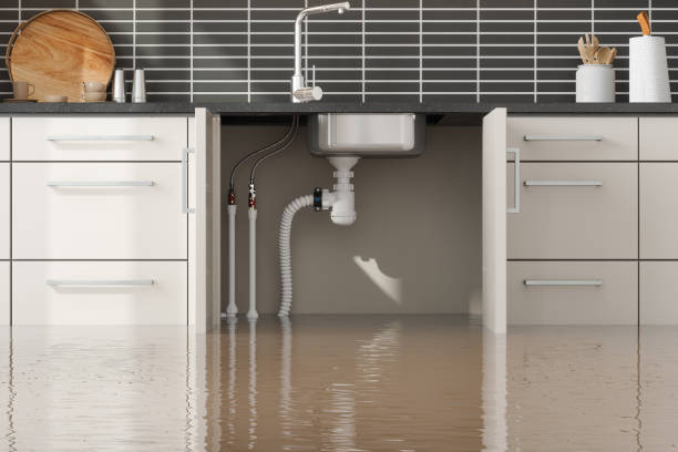 Best Water damage cleanup near me  in North Bellmore, NY