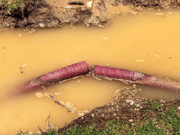 Best 24-hour water damage restoration  in North Bellmore, NY