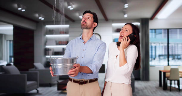Best Water damage restoration cost  in North Bellmore, NY