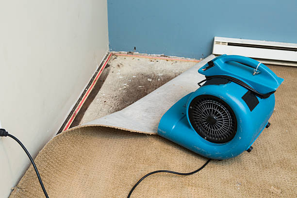 Best Water damage contractors near me  in North Bellmore, NY